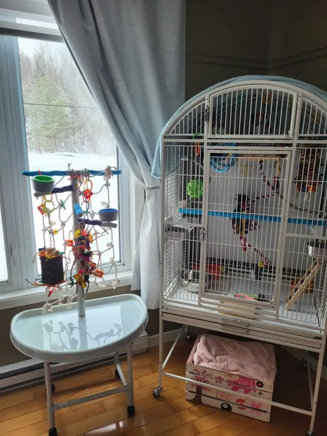 Conure avec équipement - Photo 2