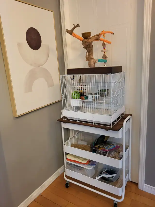 Conure avec équipement - Photo 4