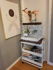 Conure avec équipement - Photo 4