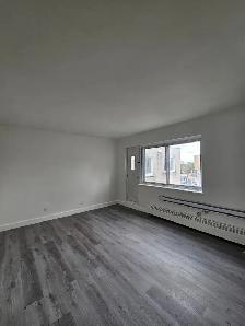 3 1/2 apartment for rent - Boulevard Henri-Bourassa E - Photo 3