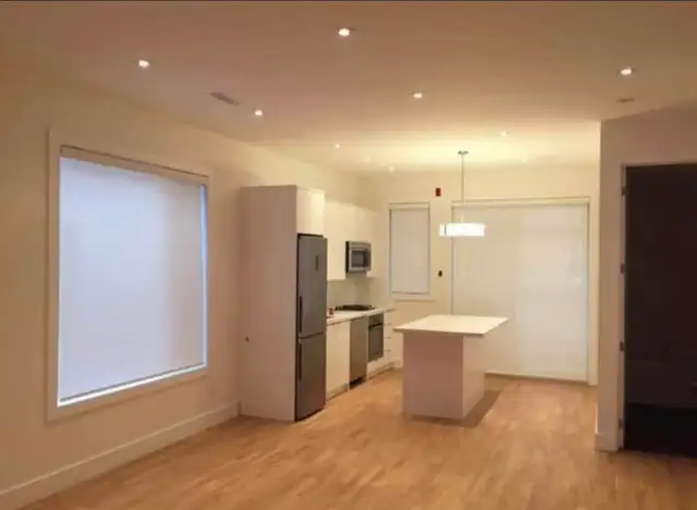 shutters  zebra blinds roller shades - Photo 10