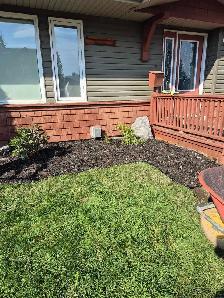 affordable landscaping