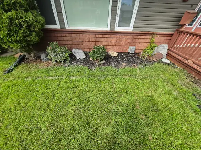 affordable landscaping - Photo 2
