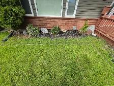 affordable landscaping - Photo 2