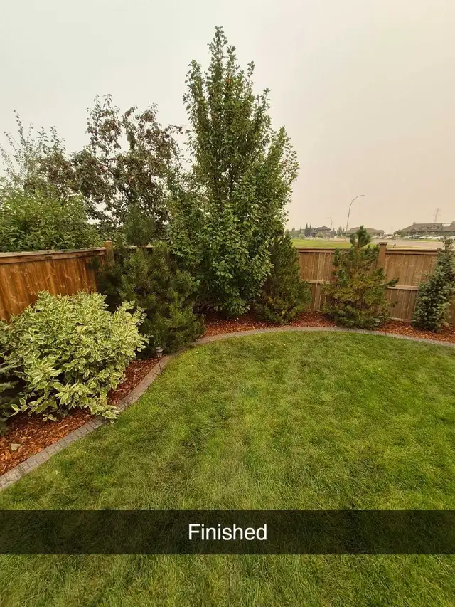 affordable landscaping - Photo 3