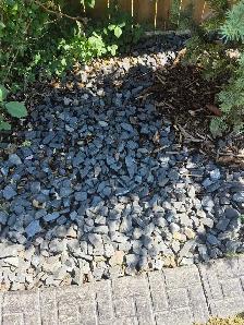 affordable landscaping - Photo 4