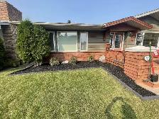 affordable landscaping - Photo 5