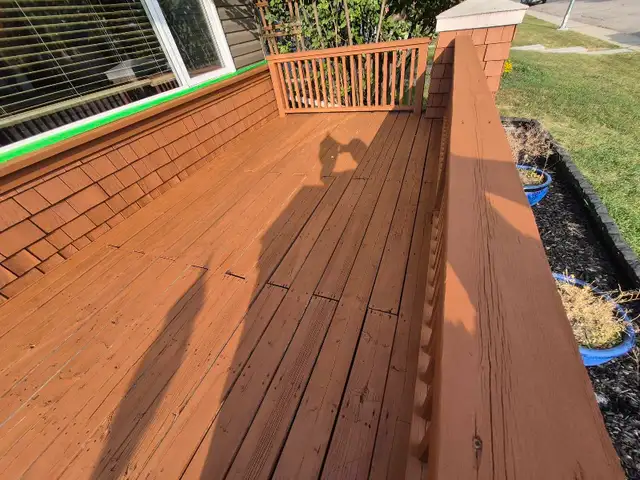 affordable landscaping - Photo 6