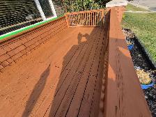 affordable landscaping - Photo 6