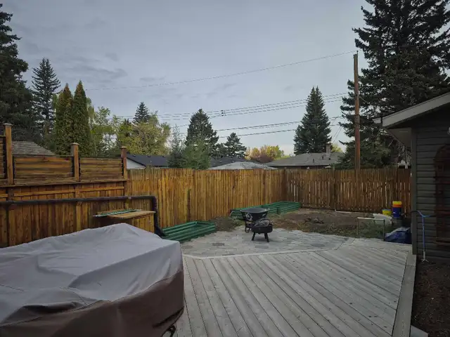 affordable landscaping - Photo 9