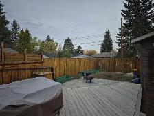 affordable landscaping - Photo 9