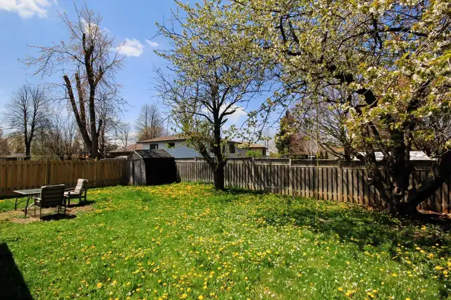 Basement for Rent - Photo 10