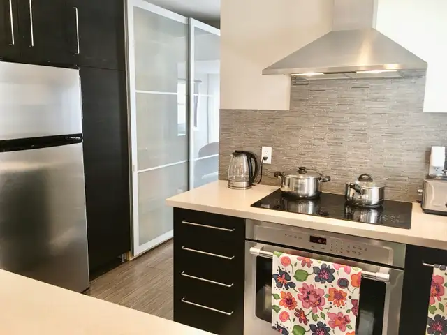 Renovated One Bedroom Main Floor Apartment in Leslieville - Photo 4