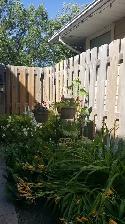 HOME FOR SALE - Photo 7