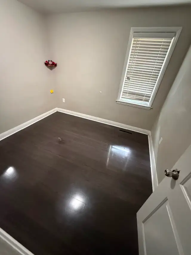 House for rent