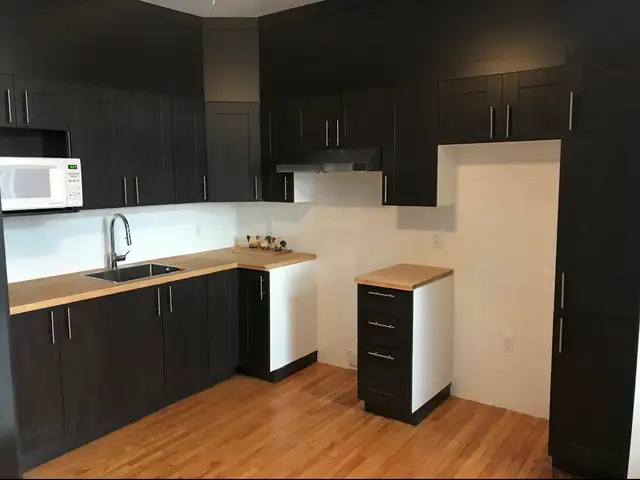 APPARTEMENT 3 1/2 À LOUER DANS HOMA ! - Photo 2