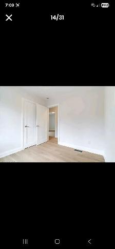 3 Bedrooms House for Rent - Photo 7