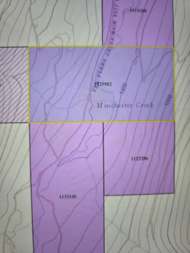 PERRY CREEKPLACER GOLD CLAIM FOR SALE - Photo 2