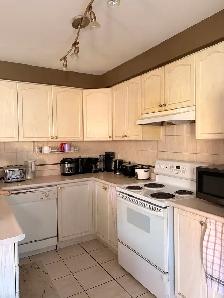 Basement Room for Single Person $750/month - Photo 4
