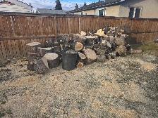 tree cutting