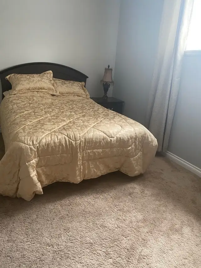 Beautiful Basement Suite in Auburn Bay