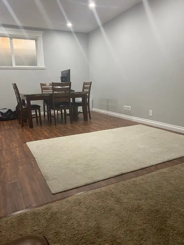 Beautiful Basement Suite in Auburn Bay - Photo 4