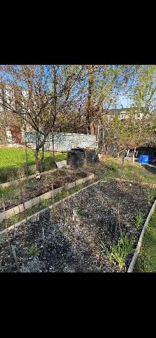 Budget Friendly Junk Removal Services!!!Same Day Pickup! - Photo 5