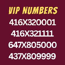 VIP Numbers available