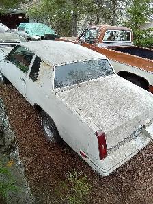 1987 cutlass supreme project for sale/trade - Photo 3