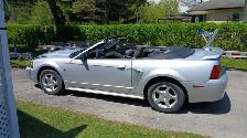Mustang Convertible 2003 V6 Manual Jamais Sorti L'hiver)