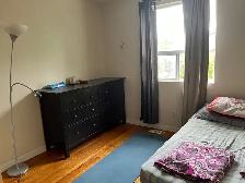Eglinton West FEMALE roommate needed - Photo 7