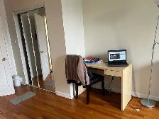 Eglinton West FEMALE roommate needed - Photo 8