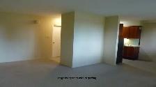 LARGE 1 BEDROOM - NORTHEND - Photo 3