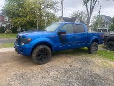 2014 Ford F150 FX4 - Photo 2