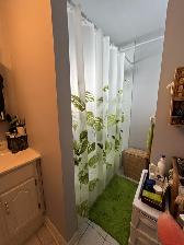 Brownsburg-Chatham centre ville 3½ animaux accepté - Photo 8
