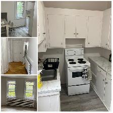 2 Bedroom Sandy Hill All-Inclusive Apartment for Rent -286 Daly - Photo 2