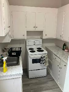 2 Bedroom Sandy Hill All-Inclusive Apartment for Rent -286 Daly - Photo 3
