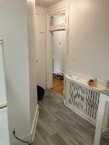 2 Bedroom Sandy Hill All-Inclusive Apartment for Rent -286 Daly - Photo 4