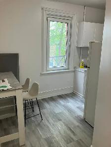 2 Bedroom Sandy Hill All-Inclusive Apartment for Rent -286 Daly - Photo 5