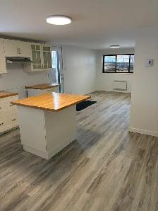 ANJOU. SOUS SOL. 4 ET DEMI. NEUF. SUPER BIEN ÉCLAIRÉ. 2 CHAMBRES - Photo 2