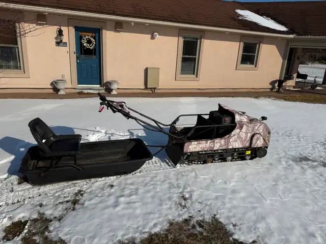 2017 Snow Dog