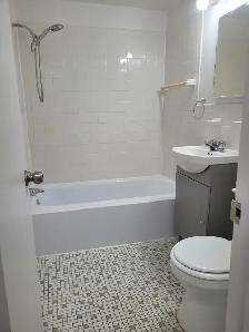 Beau 3 1/2 Rénové Rosemont - Photo 5