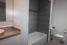 Métro Papineau, haut de triplex, électros inclus - Photo 10