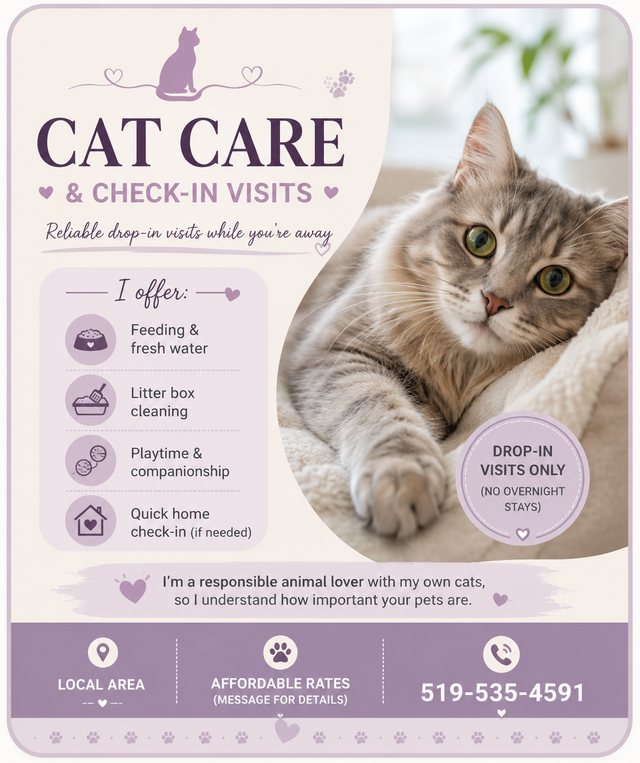 Cat Sitting – Drop-In Visits