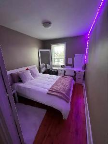 Queen's students - 5 bedroom home - Photo 5