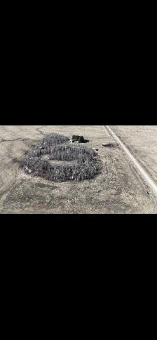 Private Farm Land Sale - Photo 3