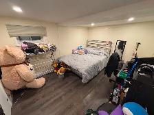 Furnished basement rooms and apartments Downtown Toronto! - Photo 4