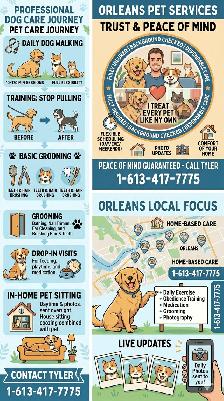 Dog Walking, Training, Pet Sitting & Grooming – Orleans / Ottawa - Photo 3