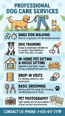 Dog Walking, Training, Pet Sitting & Grooming – Orleans / Ottawa - Photo 4