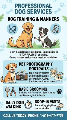 Dog Walking, Training, Pet Sitting & Grooming – Orleans / Ottawa - Photo 5